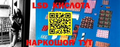 спиды Новодвинск