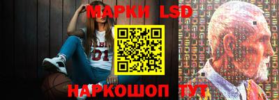 спиды Новодвинск