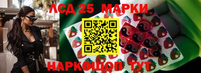 спиды Новодвинск