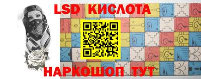 тгк Новозыбков
