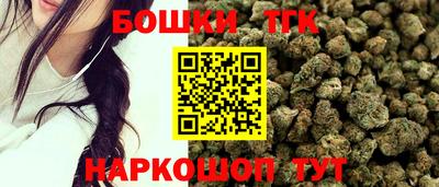 тгк Новозыбков