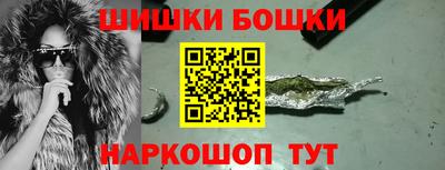 тгк Новозыбков