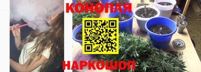 тгк Новозыбков