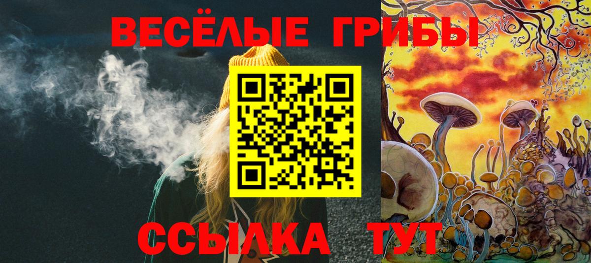 Таганрог  Псилоцибиновые грибы Psilocybine cubensis  Галлюциногенные грибы MAGIC MUSHROOMS  Вход с VPN 